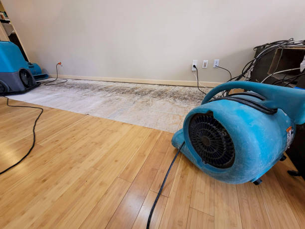 Reliable Basement Flood Cleanup contractor in Grandview, WA by Hirex Water Damage