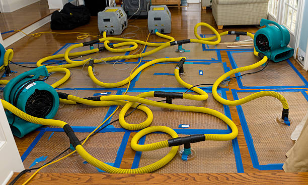 Professional Basement Flood Cleanup technician working in Grandview, WA